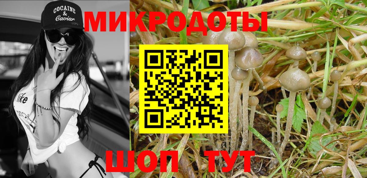 Галлюциногенные грибы мухоморы  закладка  Богородск  Вход с VPN 